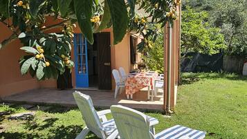 Un patio con tavolo e sedie, una porta blu e un albero con frutti gialli.