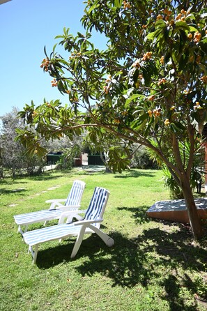 Un espacio exterior con césped, dos sillones reclinables a rayas y un árbol con frutos.
