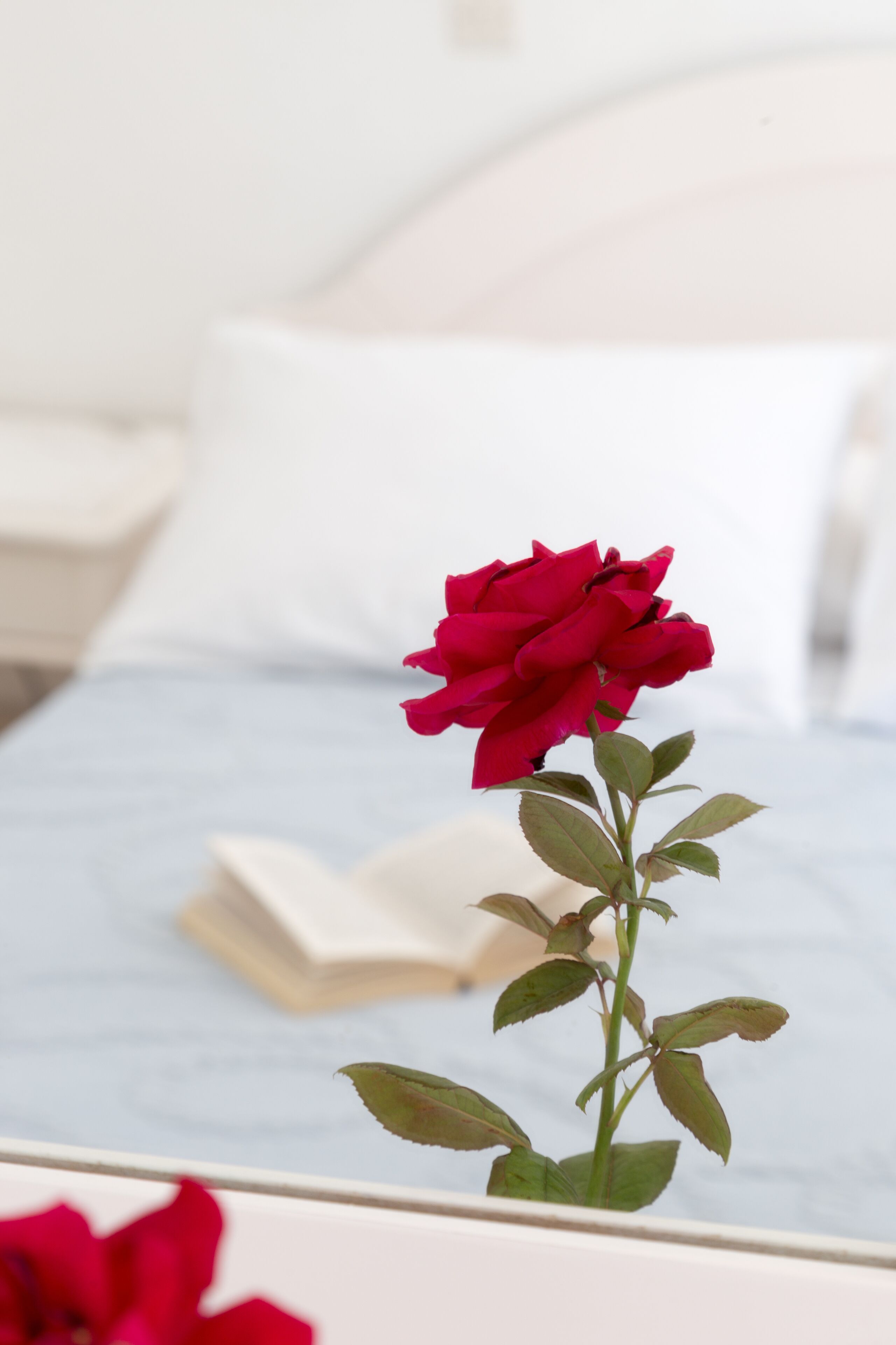 Foto - Areti Hotel