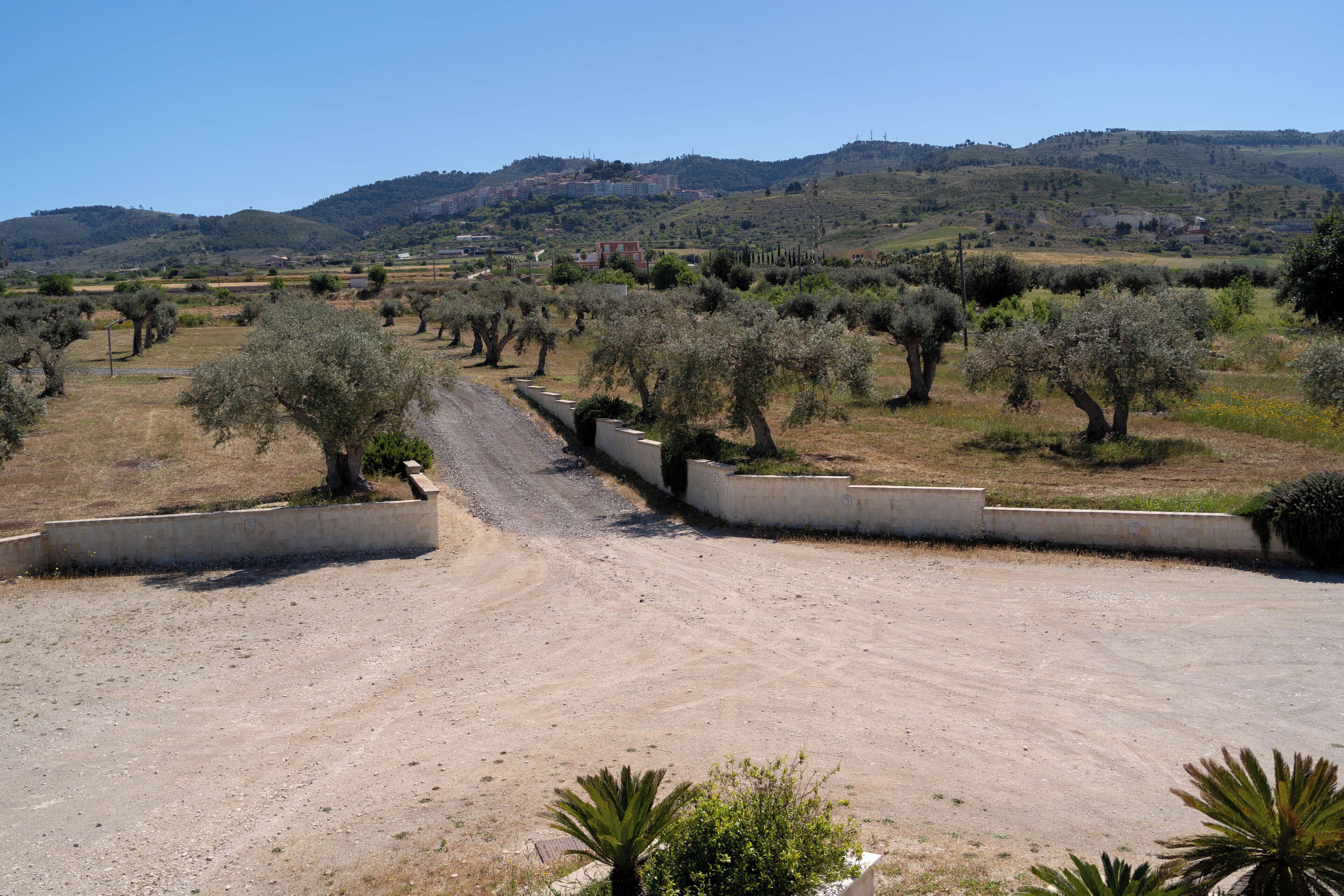 A dirt road leading to a rural area with olive trees and a hilly landscape in the background.