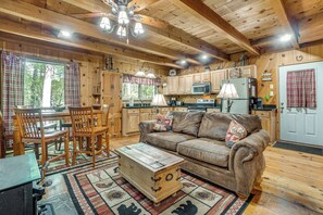 TV, DVD player, video library - Helen Area Rustic Retreat ~ 5 Miles to Main Street (Sautee Nacoochee)