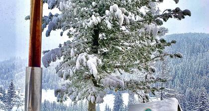 Almhaus Zirbenheim Nicolina