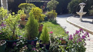 Un jardin agrémenté de différentes plantes en pot et d’une fontaine en pierre.