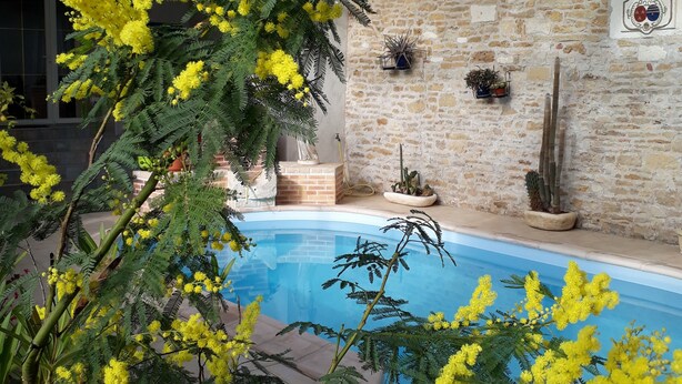 Une piscine avec un mur en pierre et un toit en verre.
