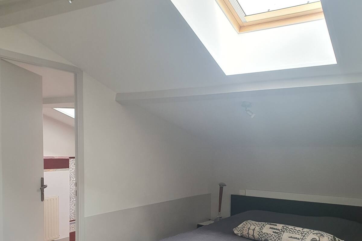 Een slaapkamer met dakraam, een bed met een gestreept kussen en een houten vloer.