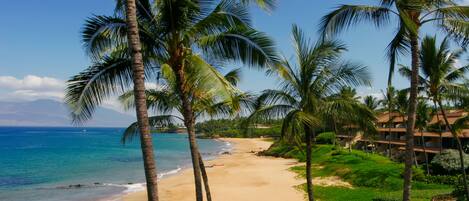 On the beach, sun loungers, beach towels