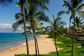 On the beach, sun loungers, beach towels