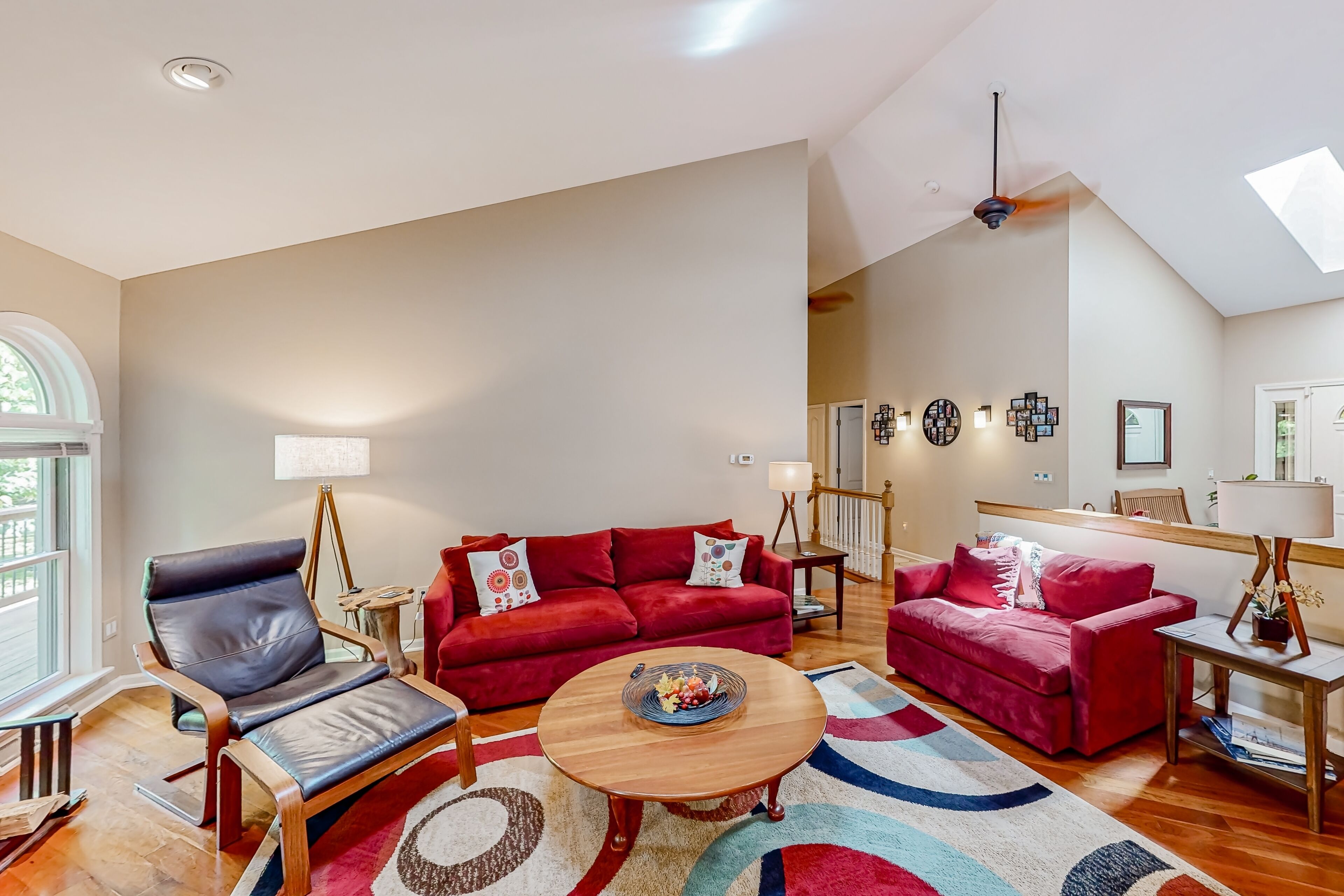 电视、壁炉、DVD 播放器、书