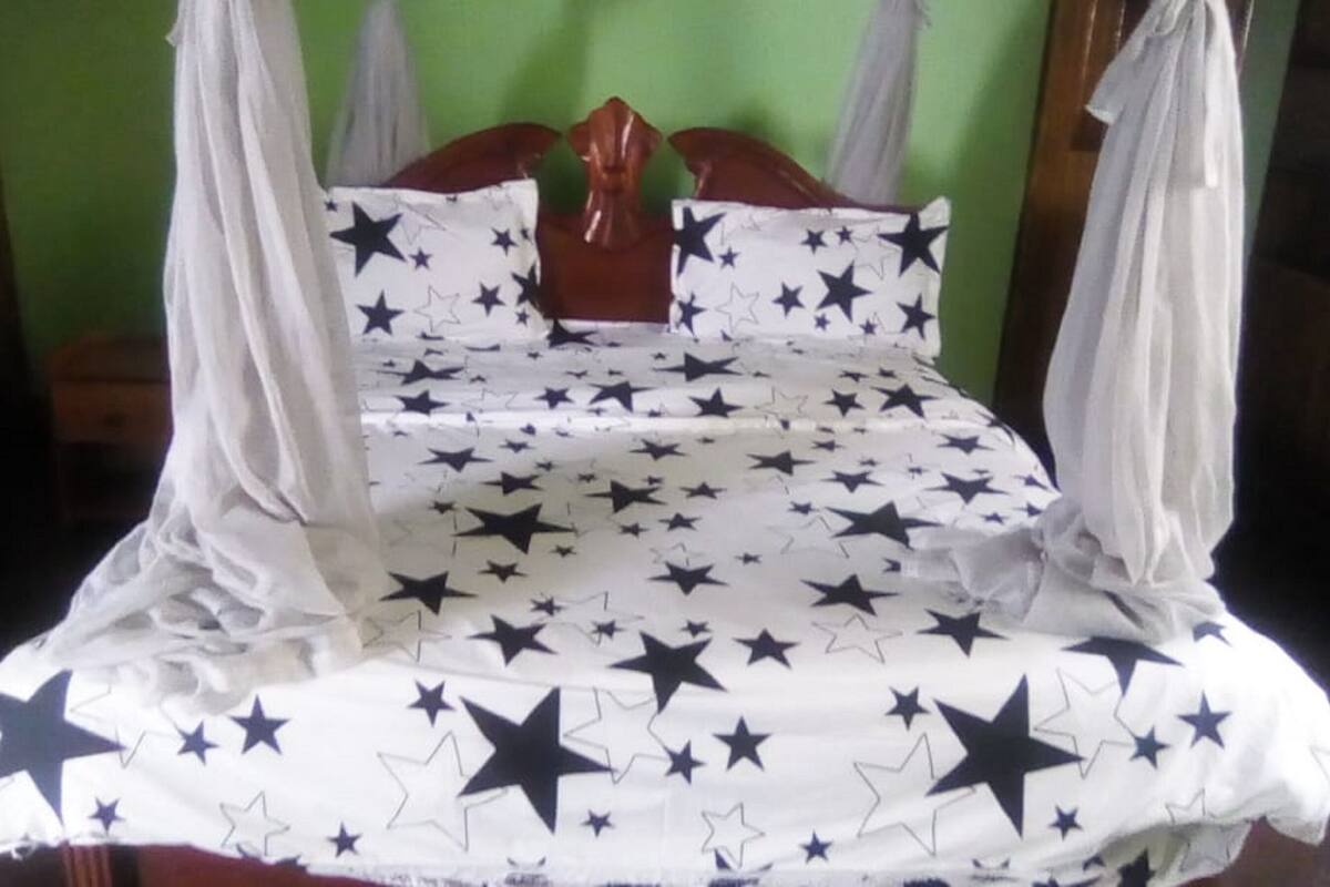 A bed with a canopy, white sheets with star patterns, and a wooden headboard.