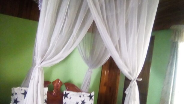 Una habitación con pared verde, cama con dosel blanco y ventana con cortinas.