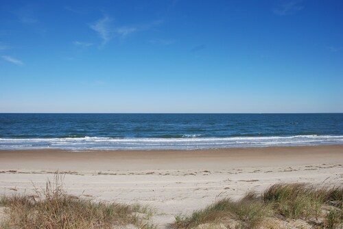 Bay Side Studio # 4 - Lemmikkiystävällisiä