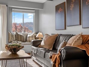 TV, fireplace, offices