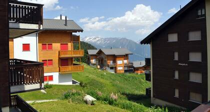 Alpengarten 4