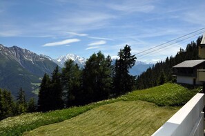 Mountain view - Alpenglück 51 (Bettmeralp)