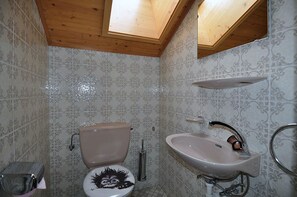 A bathroom with a toilet, sink, and skylight.