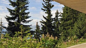 A pathway lined with tall evergreen trees and flowering plants, leading to a building with a concrete overhang. - Bettmerlodge (Bettmeralp)