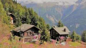 Two wooden cabins surrounded by dense forest and mountains. - Jadwiga OG (Bettmeralp)
