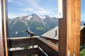 A bird on a wooden balcony overlooking a mountainous landscape. - Polaris (Bettmeralp)