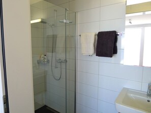 Un baño con ducha separada por mampara de vidrio, un lavabo y un espejo.