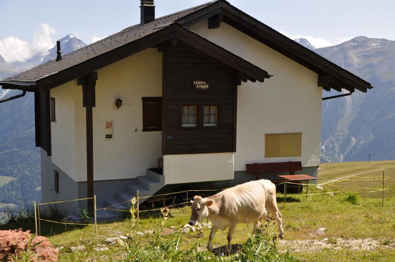 A mountain chalet with a wooden exterior, a small porch, and a cow grazing nearby.