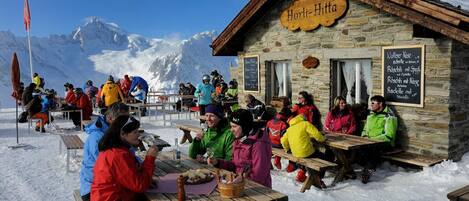 Sneeuw- en skisporten