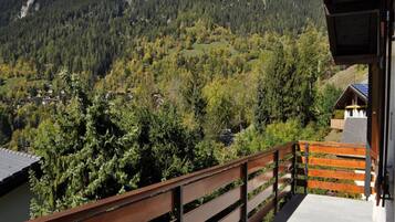 Apartment, 2 Bedrooms | Balcony