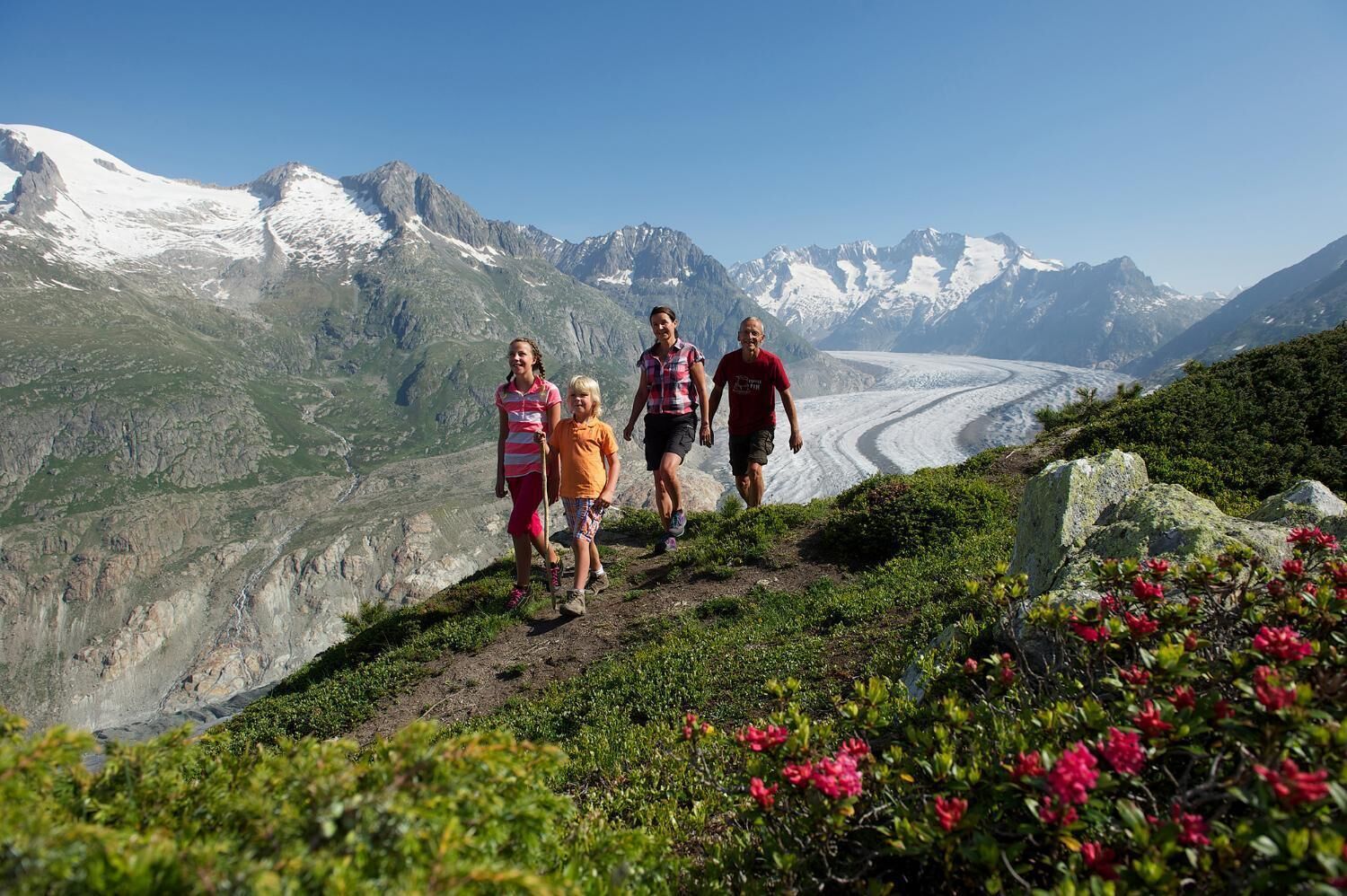 Un groupe de personnes fait de la randonnée sur un sentier de montagne, avec un glacier en arrière-plan.