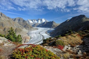 Un glaciar en una zona montañosa con terreno rocoso y vegetación escasa.