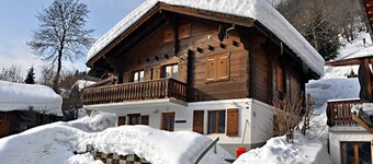 スタヘルビール UG