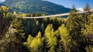 A suspension bridge over a forested valley with a mountain in the background. - Wasserhügeli (Fiesch)