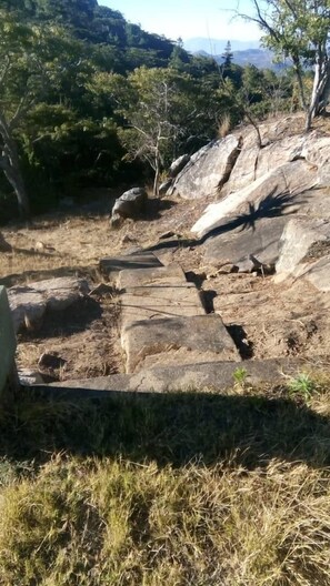 Un espace extérieur rocheux, parsemé de gros rochers et de quelques touffes d’herbe.