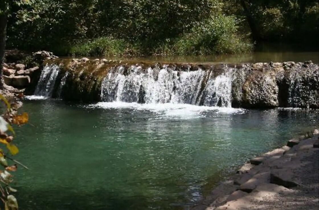 Una cascada se precipita sobre rocas hacia una piscina cristalina rodeada de abundante vegetación.