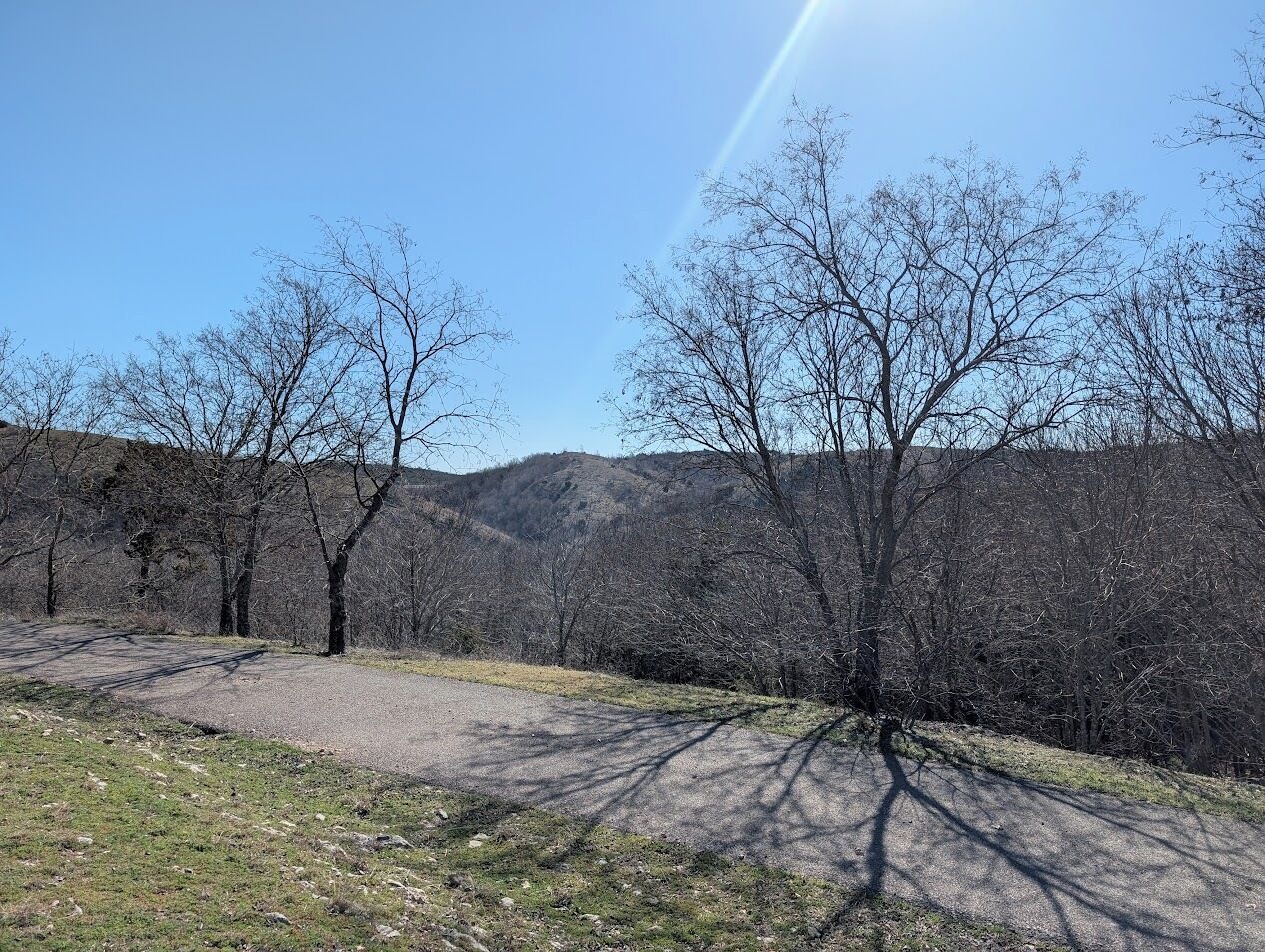 A clear sky with a sun flare, a dirt path, and leafless trees in a hilly landscape.