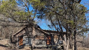 A rustic cabin with a wooden exterior, a front porch, and a large tree in front. - Cedarvale Cabins at Turner Falls (Davis)