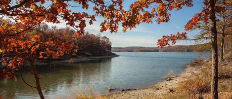 A serene lake surrounded by trees with autumn foliage.