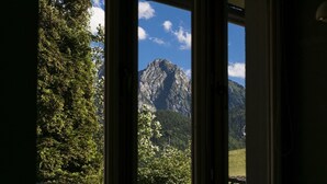 Une fenêtre donnant sur une montagne et la végétation environnante.