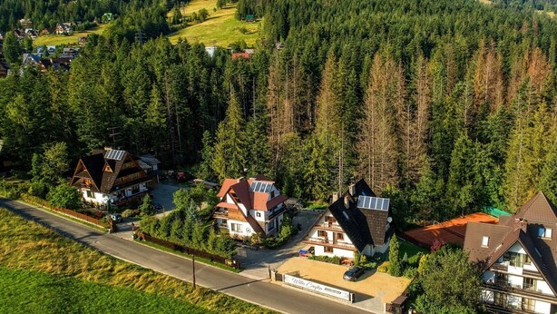Un quartier résidentiel où les maisons sont entourées d’une forêt dense, d’une route et où le ciel est dégagé.
