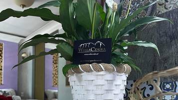 Una planta en maceta con una etiqueta, en una habitación con pared estampada y maceta de mimbre.