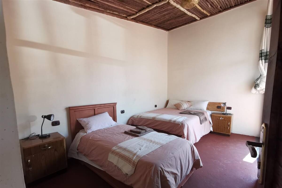 Une chambre avec deux lits, des têtes de lit en bois, une table de chevet avec une lampe et une petite armoire en bois.