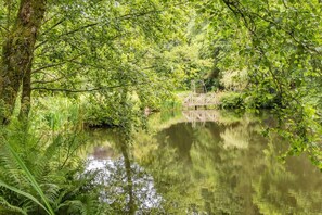 A serene pond surrounded by lush greenery and a wooden bridge.