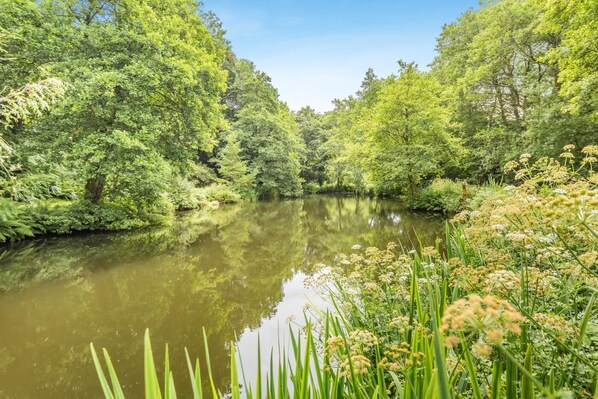A calm river surrounded by dense greenery and trees.