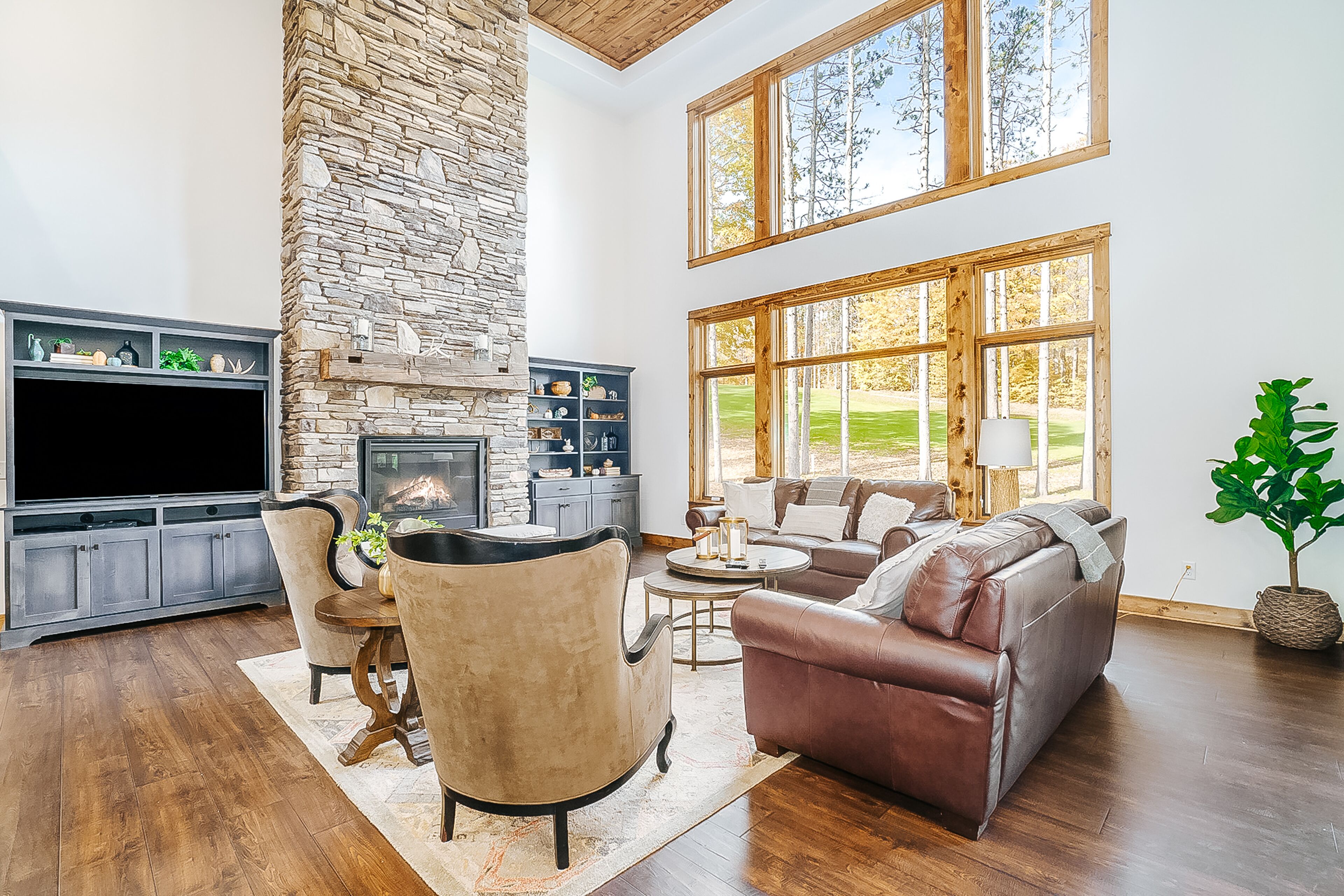 TV, fireplace, video games, DVD player