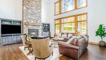 TV, fireplace, video games, DVD player