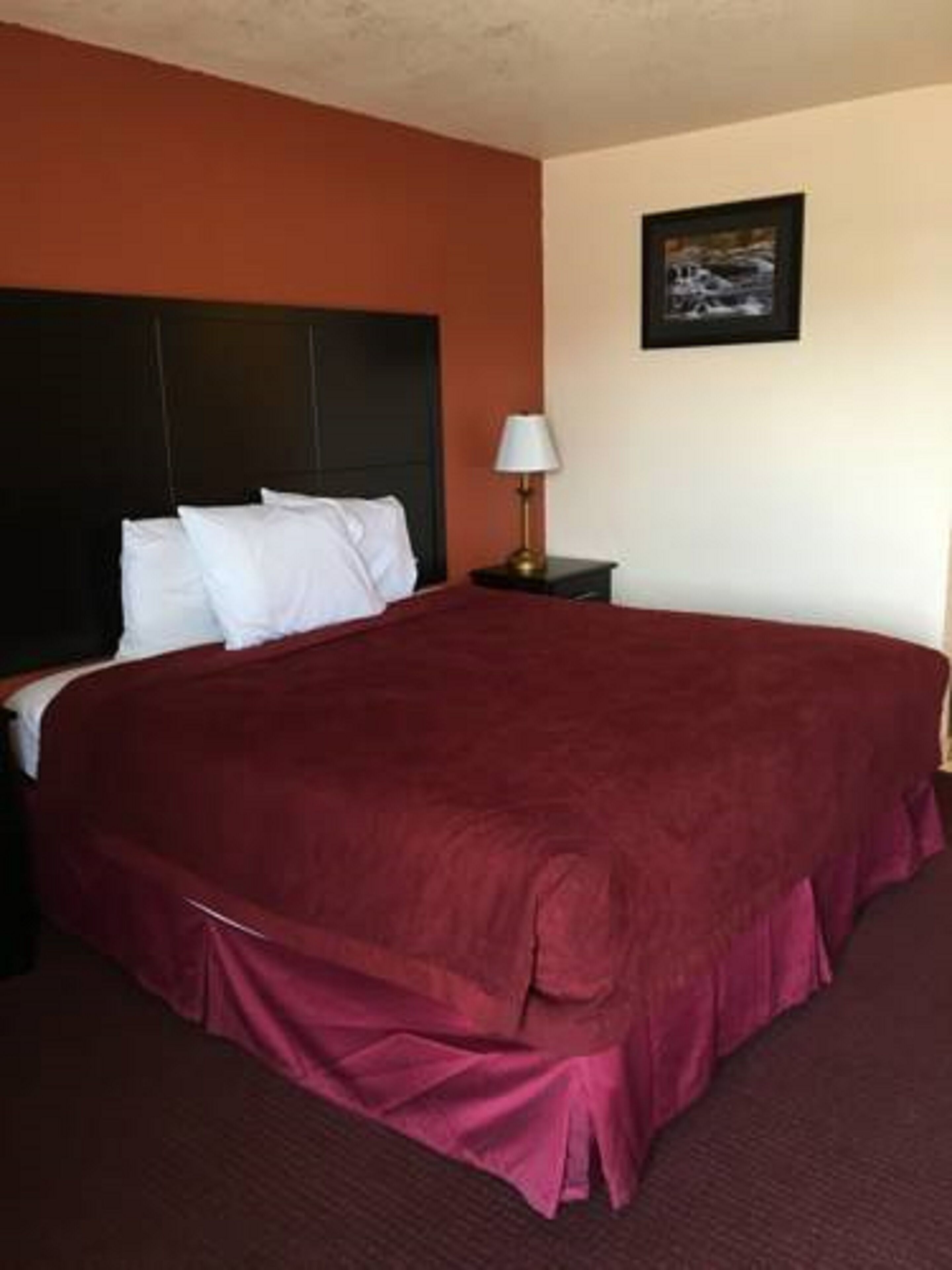 A hotel room with a large bed, a nightstand with a lamp, and a framed picture on the wall.
