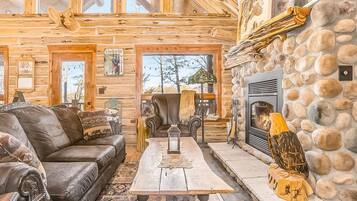 Télévision, cheminée, lecteur de DVD, table de tennis de table