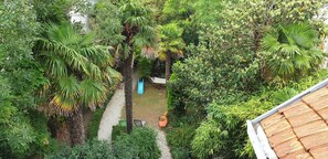 Explore a serene garden oasis with lush greenery, tropical plants, and a winding pathway.