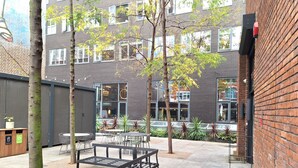 An outdoor seating area with tables and benches, surrounded by trees and a building with large windows. - Still Life Chancery Lane (London)