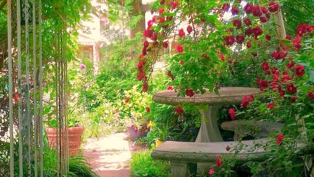 A garden with a stone bench, lush greenery, and flowering plants.