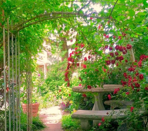 Walk to Everything -Blue Room 