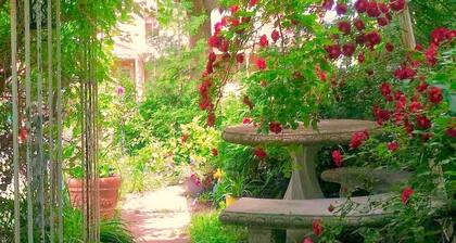 Walk to Everything -Blue Room